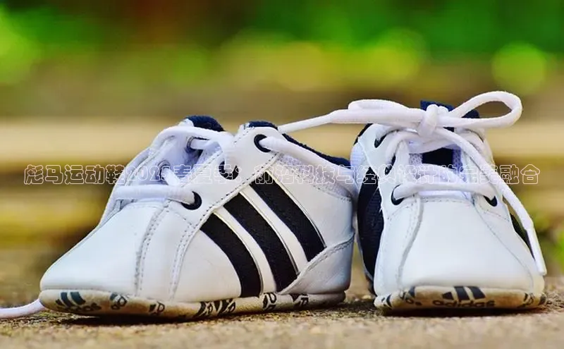 米兰milan官方网站