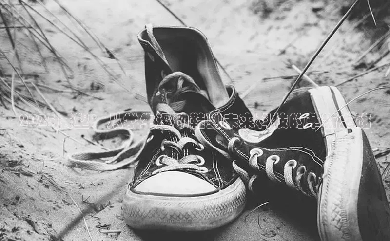 米兰·(milan)中国官方网站米兰·(milan)